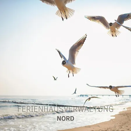 Fjordhaus Schleiwind * Fahrdorf